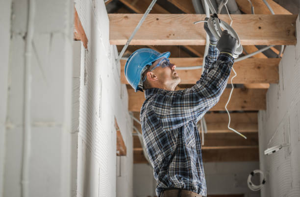 Best Electric Panel Repair  in Swedesboro, NJ