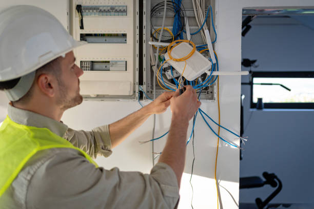 Best Affordable Electrician  in Swedesboro, NJ
