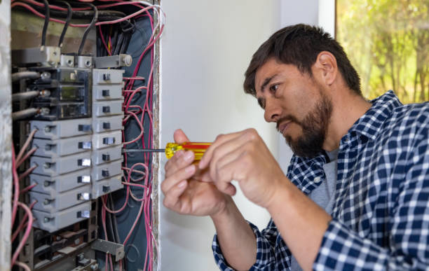 Best Electrical Repair Services  in Swedesboro, NJ